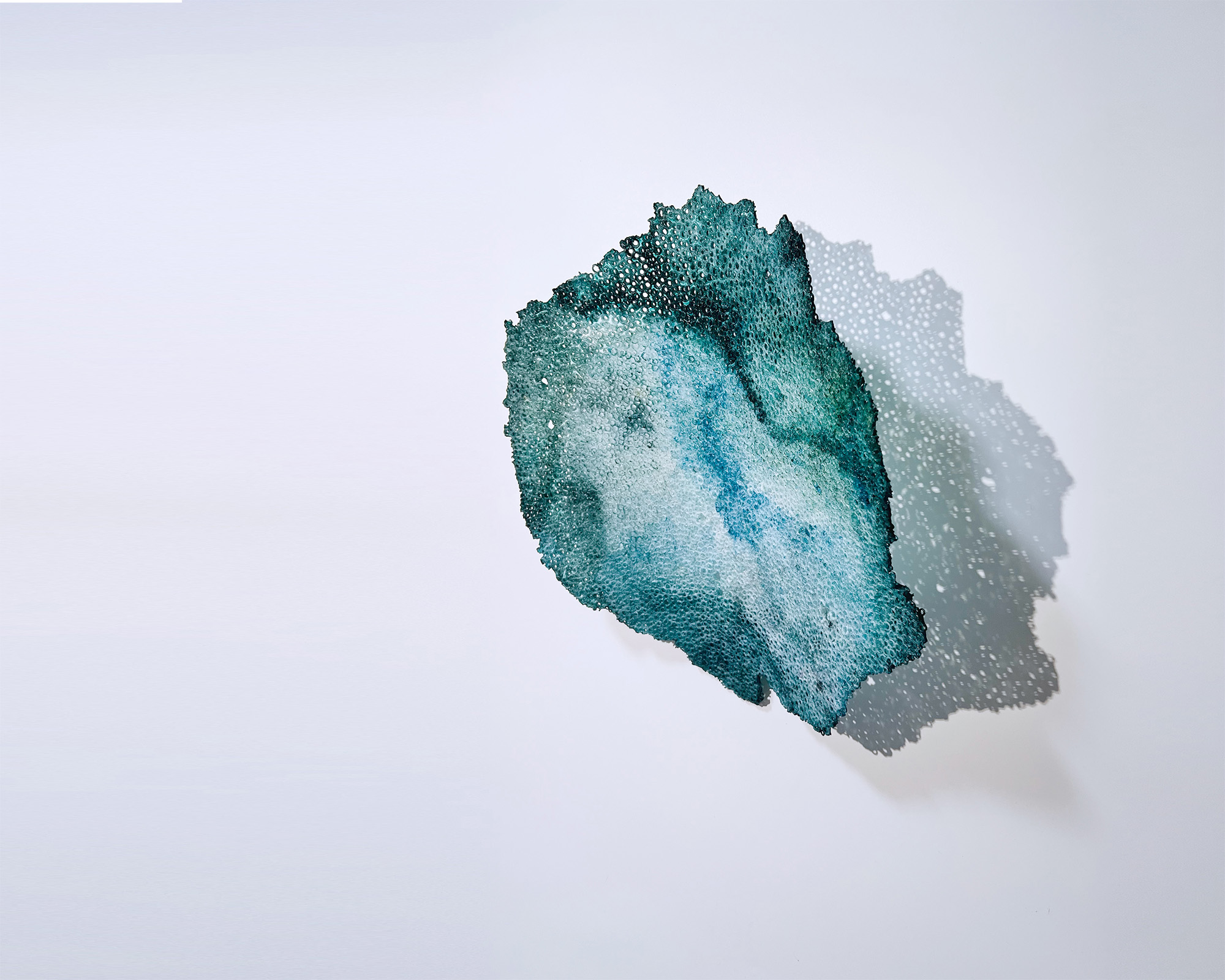 野村仁衣那｜Immortal Garden （不朽の庭）