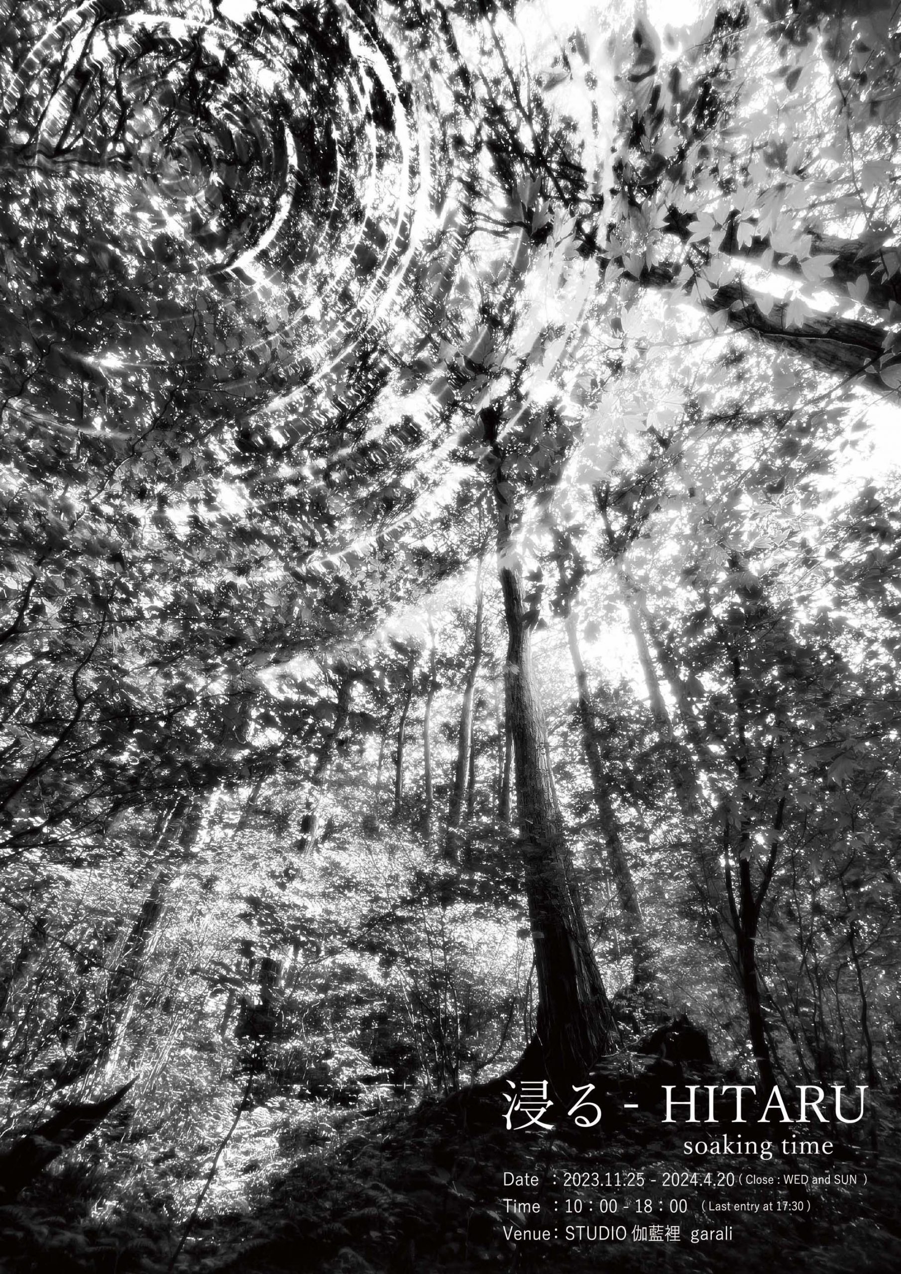 鍛治 瑞子 | 浸る-HITARU Soaking time