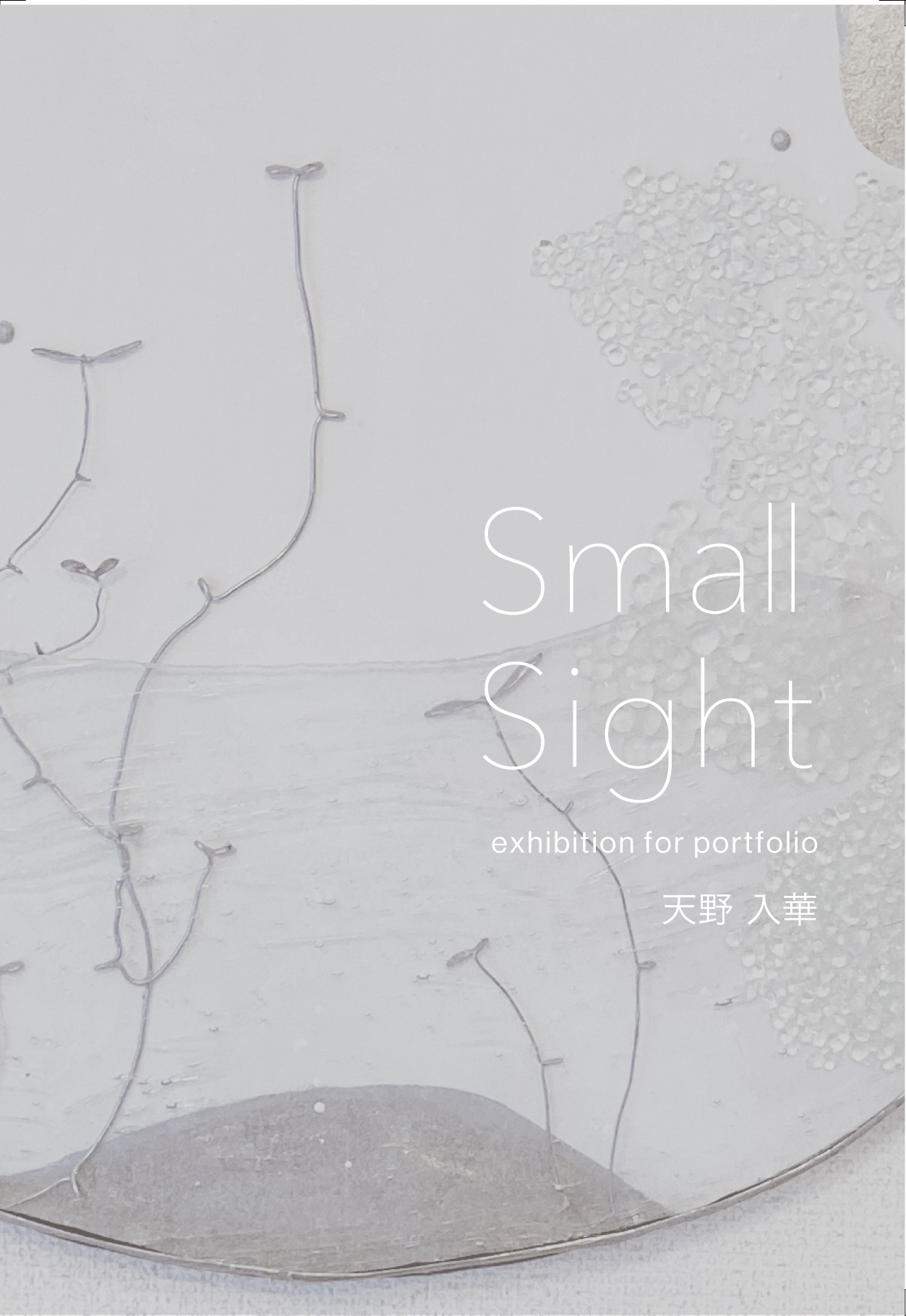 天野入華｜small sight