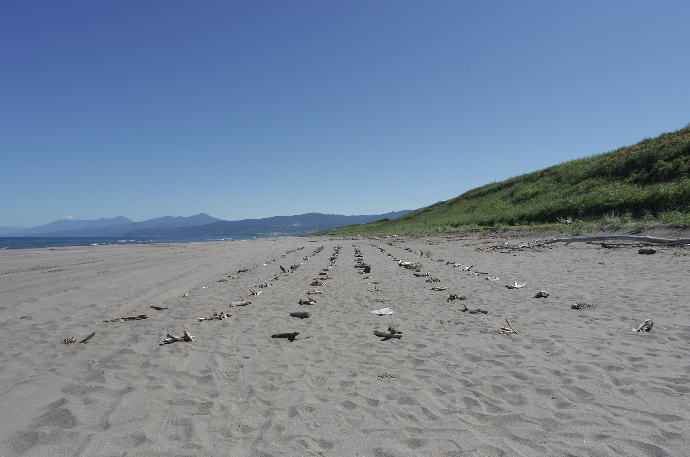 米田有甫｜個展 「ディマ」