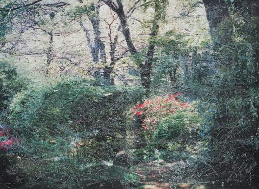 松原茉莉｜目と線、骨と痕跡